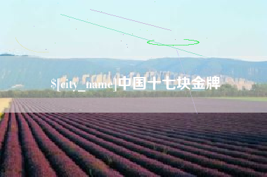 河北中国十七块金牌