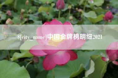 河北中国金牌榜明细2021