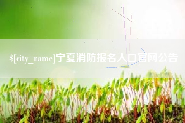 河北宁夏消防报名入口官网公告