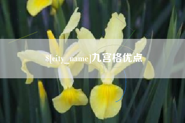 河北九宫格优点