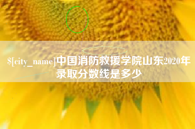 河北中国消防救援学院山东2020年录取分数线是多少
