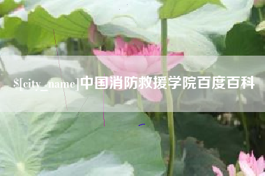 河北中国消防救援学院百度百科