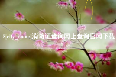 河北消防证查询网上查询官网下载