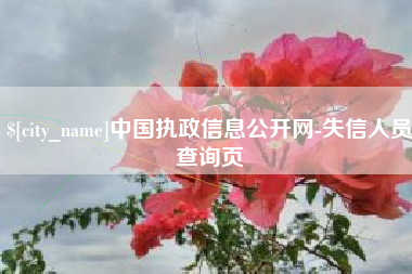 河北中国执政信息公开网-失信人员查询页