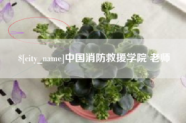 河北中国消防救援学院 老师