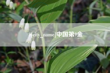 河北中国第9金