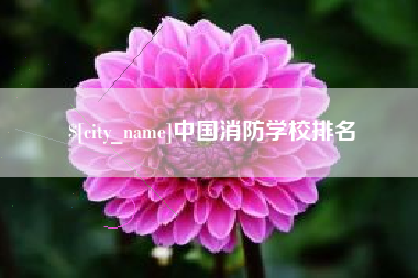 河北中国消防学校排名