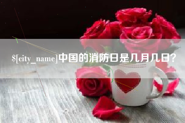 河北中国的消防日是几月几日？