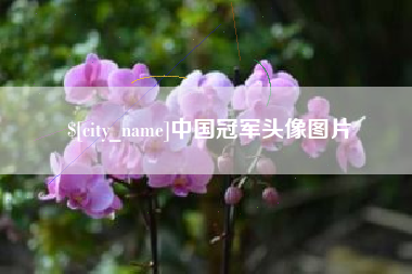 河北中国冠军头像图片