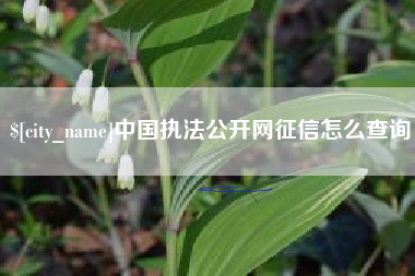 河北中国执法公开网征信怎么查询