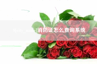 河北消防证怎么查询系统