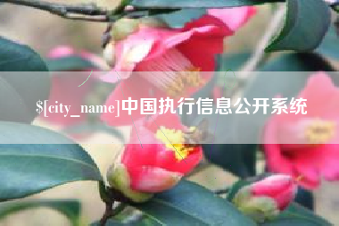 河北中国执行信息公开系统