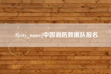 河北中国消防救援队报名