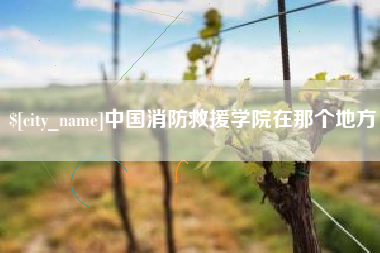河北中国消防救援学院在那个地方