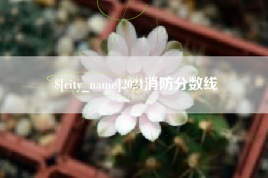 河北2021消防分数线