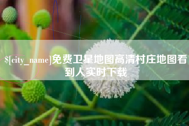 河北免费卫星地图高清村庄地图看到人实时下载