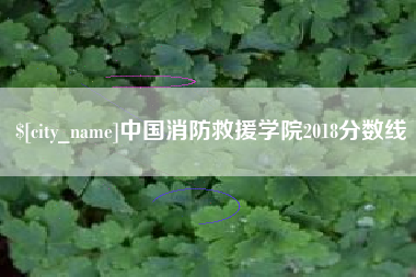 河北中国消防救援学院2018分数线