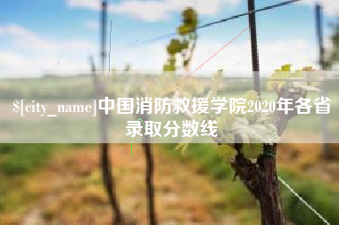 河北中国消防救援学院2020年各省录取分数线