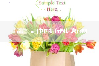 河北中国执行网信息官网