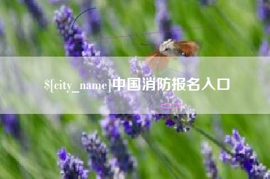 河北中国消防报名入口