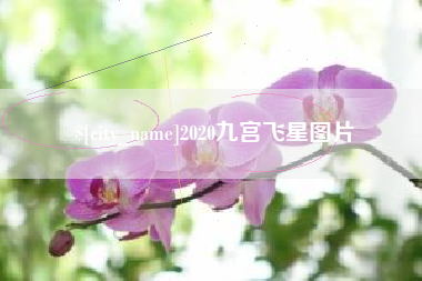 河北2020九宫飞星图片