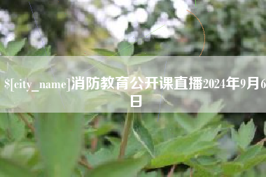 河北消防教育公开课直播2024年9月6日