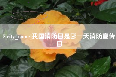 河北我国消防日是哪一天消防宣传日