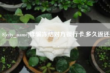 河北诈骗冻结对方银行卡,多久返还