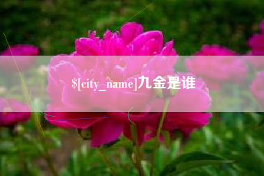 河北九金是谁