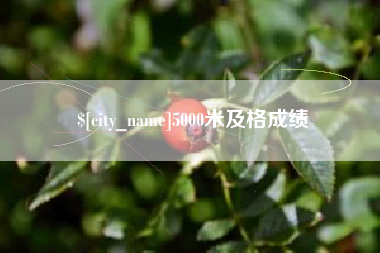 河北5000米及格成绩