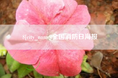 河北全国消防日海报
