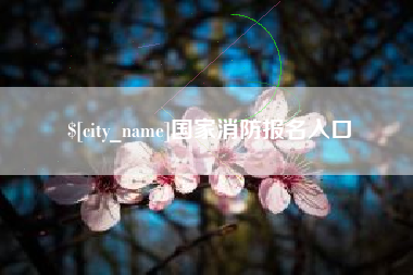河北国家消防报名入口