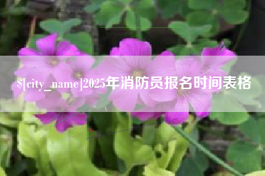 河北2025年消防员报名时间表格