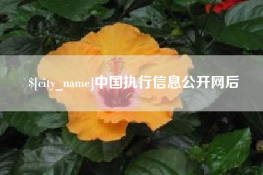 河北中国执行信息公开网后