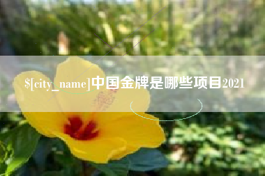 河北中国金牌是哪些项目2021
