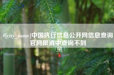河北中国执行信息公开网信息查询官网限消中查询不到