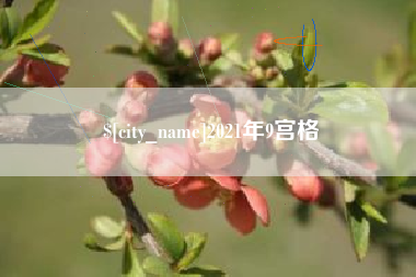河北2021年9宫格