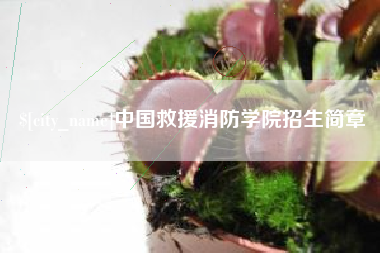 河北中国救援消防学院招生简章