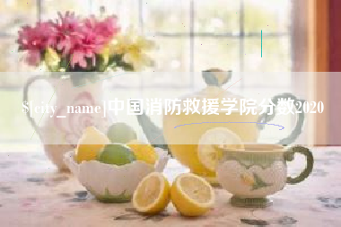 河北中国消防救援学院分数2020