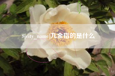河北九金指的是什么