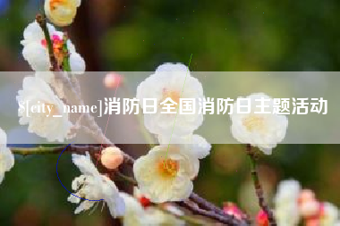 河北消防日全国消防日主题活动