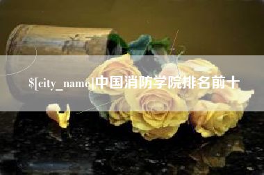 河北中国消防学院排名前十