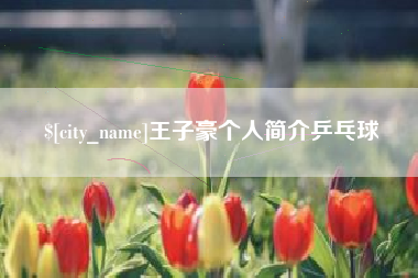 河北王子豪个人简介乒乓球
