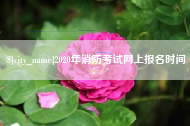 河北2020年消防考试网上报名时间