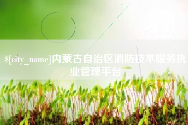 河北内蒙古自治区消防技术服务执业管理平台