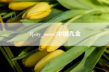 河北中国九金