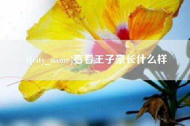 河北看看王子豪长什么样