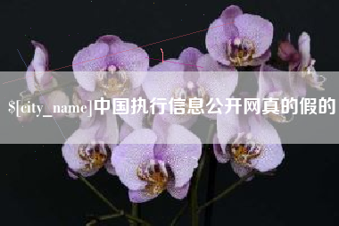 河北中国执行信息公开网真的假的