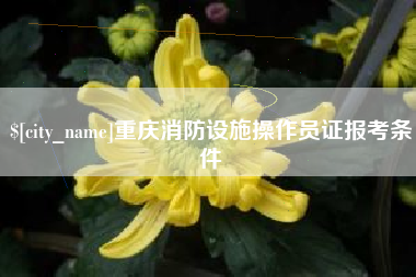 河北重庆消防设施操作员证报考条件