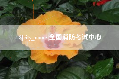 河北全国消防考试中心